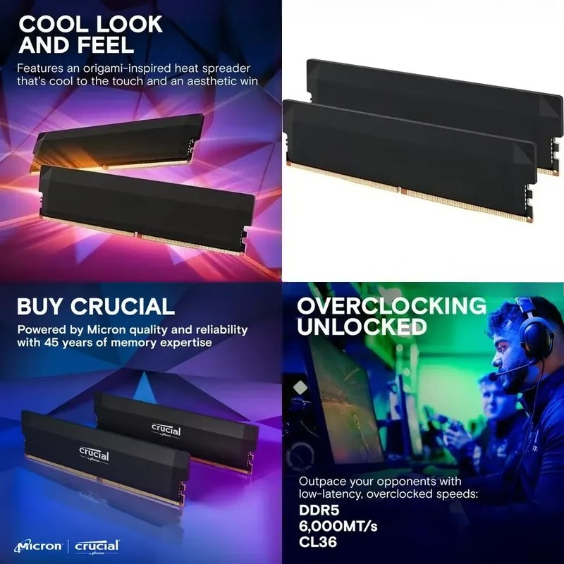 Ddr5 Ram - for AMD EXPO DDR5 32GB Kit